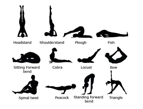 Besides asana, yoga also encompasses pranayama (breathing exercises), dhyana (meditation), yamas (codes of social conduct), niyamas. Yoga - Indoindians.com