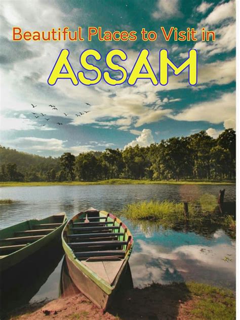 11 Best Tourist Places to Visit in Assam | Tourist places, Places to visit, Best places to travel