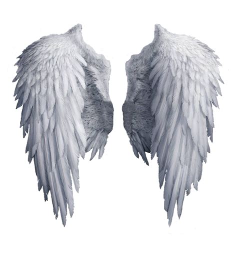 Free Angel Wings Transparent Background Download Free Angel Wings