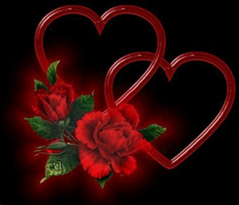 Love Red Rose Wallpaper