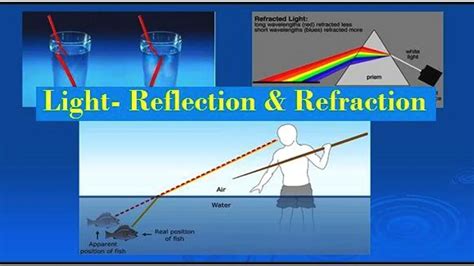 Ncert Solutions For Class 10 Science Light Reflection And Refraction