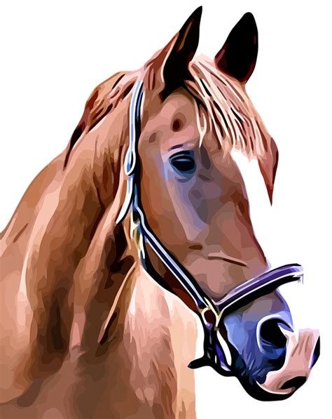 Caballo Caballo Corcel Animal Png Pngwing Pacifistatv