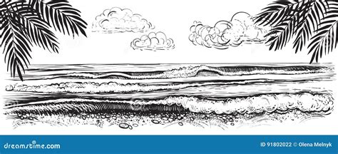 Panoramic Beach View Vector Illustration Of Ocean Or Sea Waves Hand Drawn