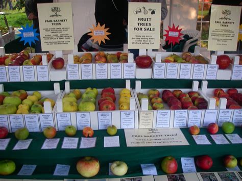 Apple Orchard Display An Apple Affair West Dean Gardens1 Flickr