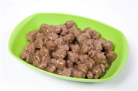 Dogs with liver issues require special attention to their diet, and in this review, you will find some great choices for the best food to feed a dog with liver problems. Low-protein Dog Food for Liver Diseases