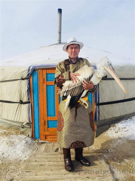 Хотон шувуу монгол гэрт өвөлжлөө - Discovery Mongolia