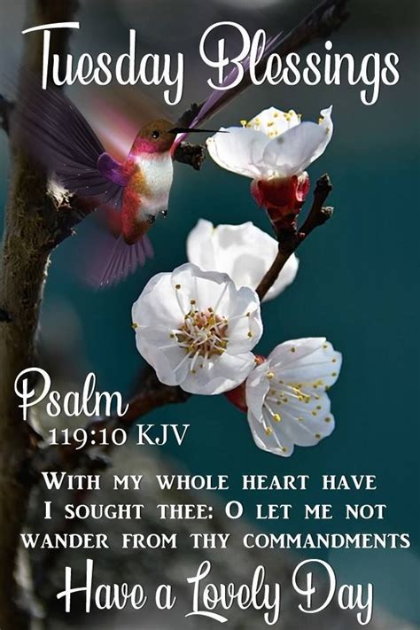 Tuesday Blessings Psalm 11910 Flowers Bible Verse Tuesday Happy
