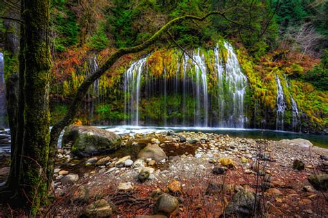 Mossbrae Falls California Stock Photo Download Image Now Autumn