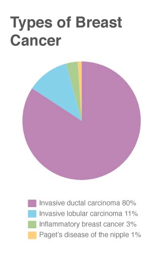 Although scientists have identified many risk factors that increase a woman's chance of developing. Breast Cancer by the Numbers: Facts & Stats