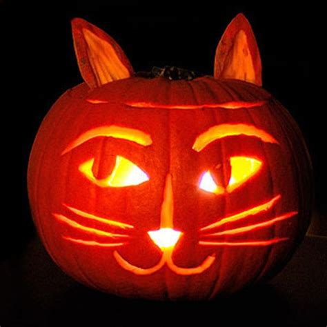 6 Cat Themed Jack O Lantern Ideas For You And Your Kids Catster Cat