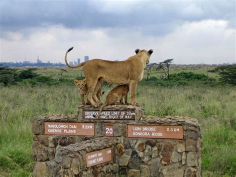 Top 10 Best Places To Visit In Nairobi Kenya Hubpages