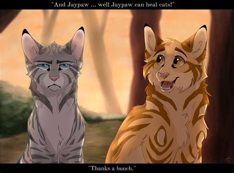 Jaypaw Is Not Amused By Nightryx On Deviantart In 2023 Warrior Cats