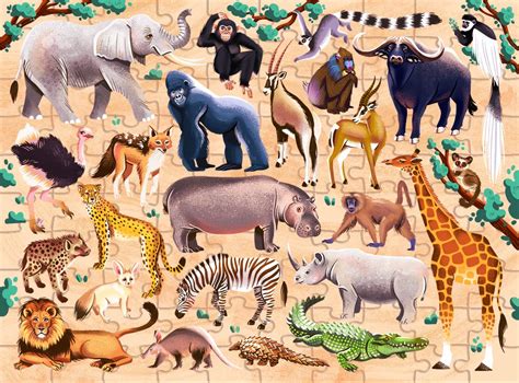 Junior Jigsaw Explore 24 African Animals Jigsaw Puzzles Games