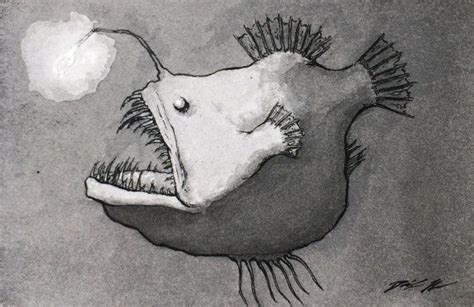 Sea Creatures Drawing Deep Sea Creatures Original Drawing Original