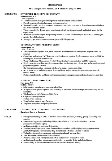If you have relevant experience in consulting, go for a resume summary. Tech Consultant Job Description - The Cover Letter For Teacher
