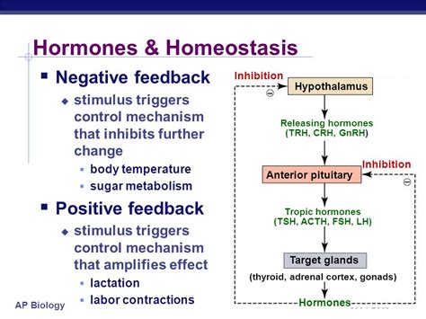 We did not find results for: Homeostasis - Miss Voss' Science