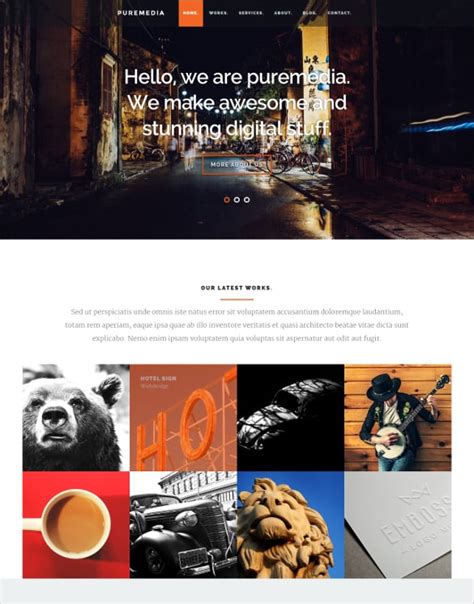 16 Responsive Php Themes And Templates