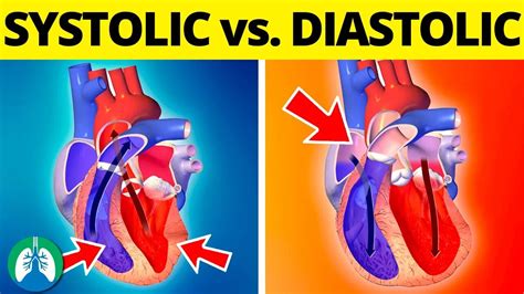 Systolic Vs Diastolic Blood Pressure Explained