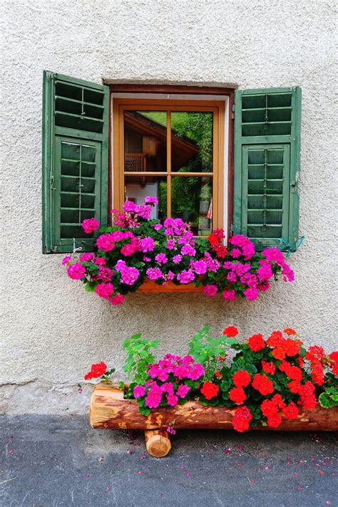 What potted flowers attract hummingbirds? 40 Window and Balcony Flower Box Ideas (PHOTOS) | Window ...