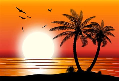Silhouette Of Palm Trees Trees Summer Beach Sunrise Birds Hd