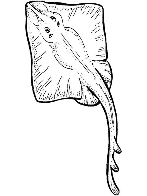 ray coloring pages download and print ray coloring pages