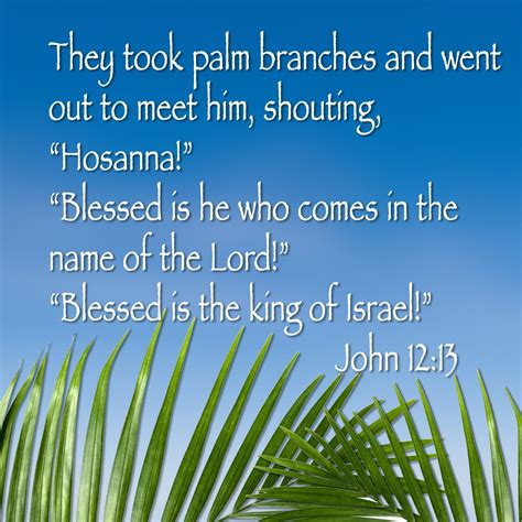 Celebrate Palm Sunday They Took Palm Branches And Went Out To Meet Him