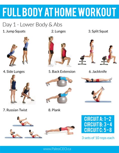 Lower Body Strength Exercises At Home Online Degrees