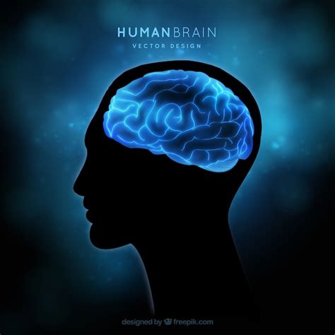 Free Vector Human Brain On A Blue Background