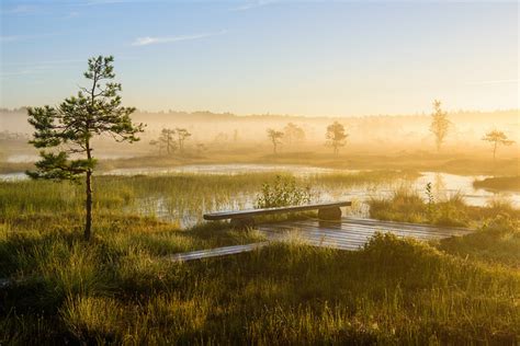 Top Things To Do In Estonia For Nature Lovers