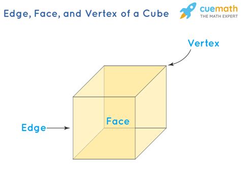 Difference Between Cube And Cuboid Definitions Properties Cube Vs