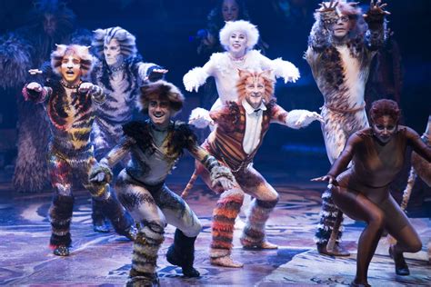 The recording won best cast show album at the 26th annual grammy awards. Cats the Musical Is Getting a Movie. Here's Why It's So Beloved. - Racked