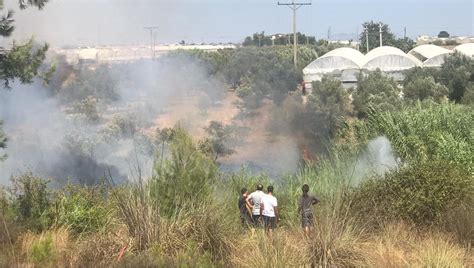 Yangın iki noktada devam ederken, bölgedeki evler tahliye edildi. Antalya'da otluk ve çalılık alanda yangın | NTV