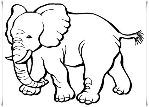 Bilder zum ausmalen, jedes ausmalbild und kostenlose malvorlagen gratis online downloaden. Ausmalbilder Elefant