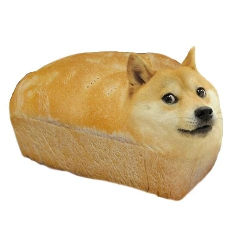 Doge Meme Loaf Of Doge Poster By Memesense Redbubble