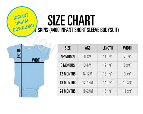 Age Rabbit Size Chart Ubicaciondepersonascdmxgobmx