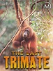 Prime Video: The Last Trimate