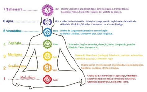 Significado Dos 7 Chakras E Como Funcionam Evolução Life