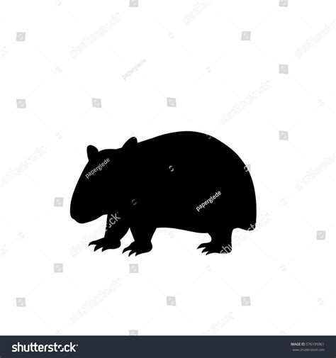 Wombat Vector Isolated Silhouette Illustration Sign Stock Vector