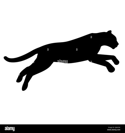 Vector Flat Leopard Silhouette Isolated On White Background Stock