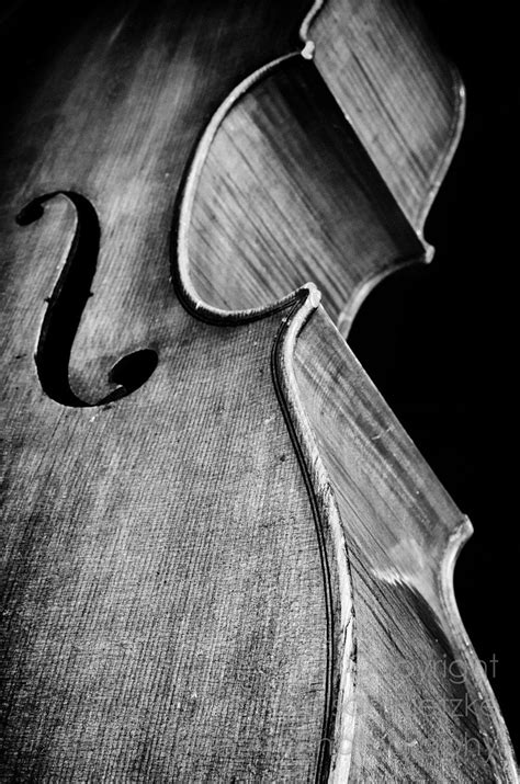 Cello Photography Art
