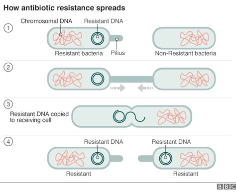 Antibiotic Resistance World On Cusp Of Post Antibiotic Era Dream