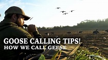 Goose Calling Tips | How to Call Geese - YouTube