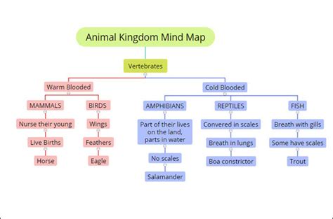 Download Free Biology Mind Map Templates And Examples