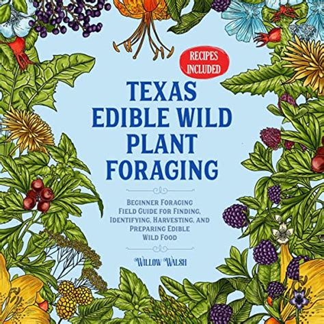 Texas Edible Wild Plant Foraging By Willow Walsh Littlebook Publishing