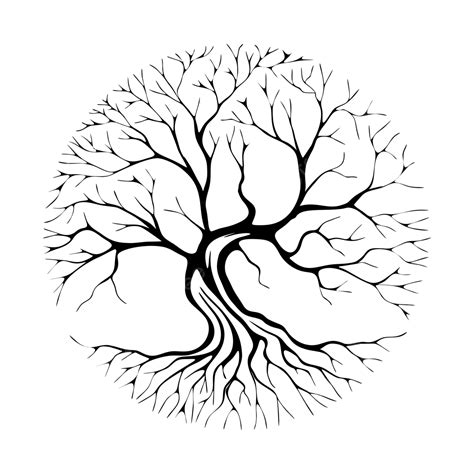 Oak Tree Design Oak Drawing Tree Drawing Oak Sketch Png And Vector