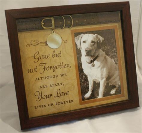 See more ideas about pet memorials, pet memorial frames, pet loss. 41 best DIY Pet Memorials images on Pinterest | Pet memorials, Loss of pet and Memorial ideas