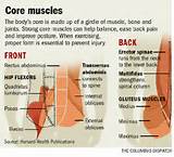 Pictures of Lower Back Core Muscles