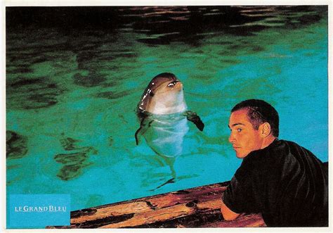 Jean Marc Barr In Le Grand Bleu 1988 French Postcard Luc Besson Big Blue