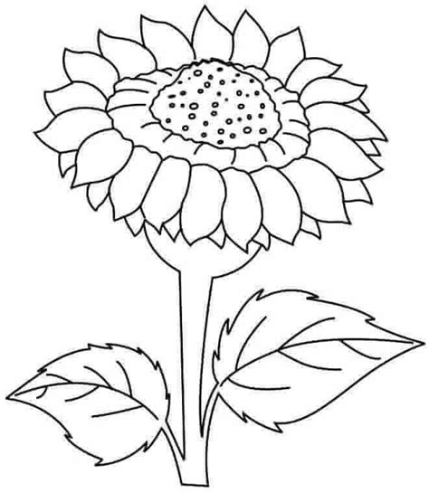 Color the sunflower yellow with a green and yellow center. Printable Kansas Day Coloring Pages | Sunflower coloring pages