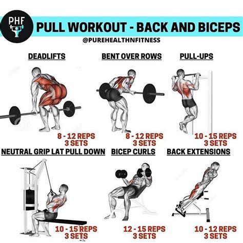 carve a defined back and biceps with this pull day workout back and bicep workout pull day